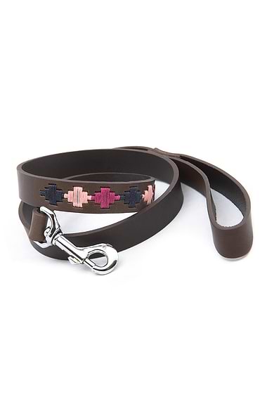 Argentinean Dog Lead