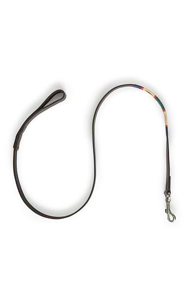Argentinean Dog Lead