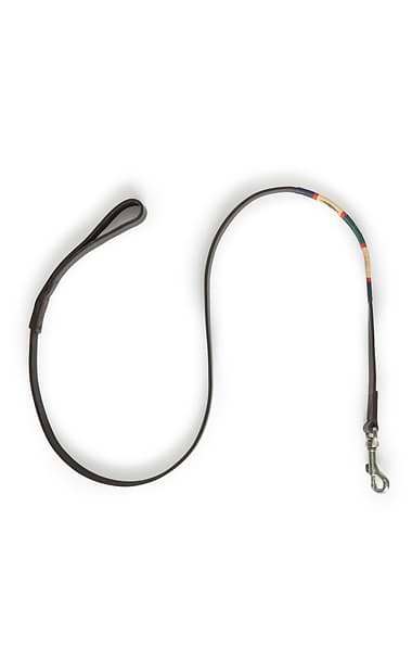 Argentinean Dog Lead