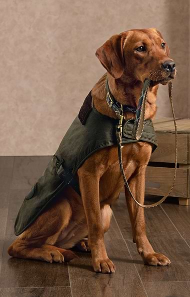 Barbour Tartan Webbing Dog Collar