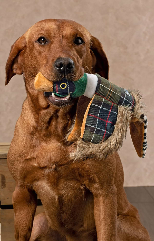 Barbour Dog Toy