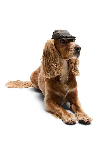 Barbour Dog Wax Flat Cap
