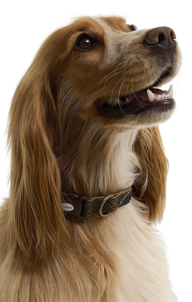 Barbour Tartan and Webbing Dog Collar