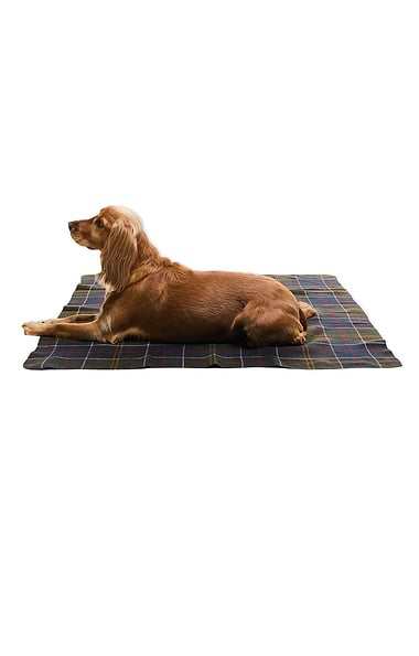 Barbour Dog Tartan Blanket