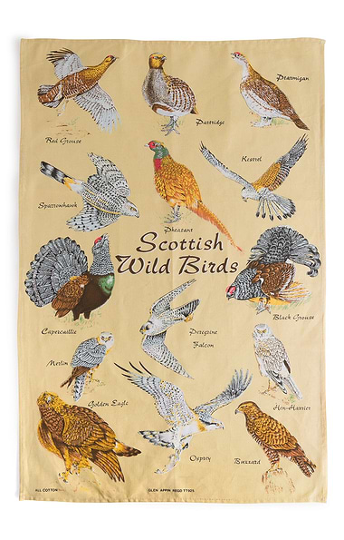 Scottish Pure Cotton Tea Towel