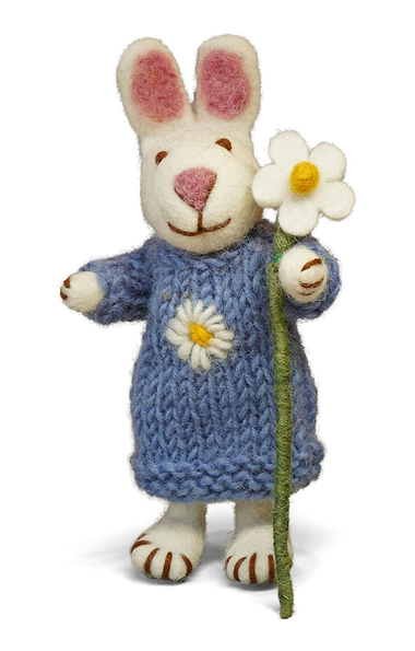 Daisy The Rabbit