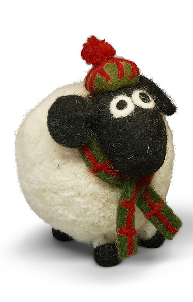 Douglas The Highland Sheep