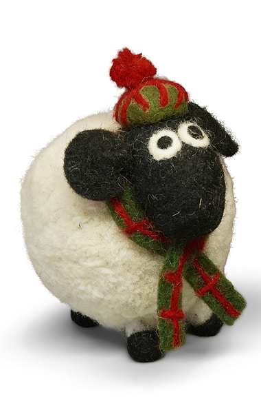 Douglas The Highland Sheep