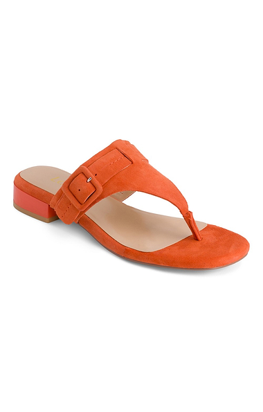 Ladies Vittoria Suede Slip Ons