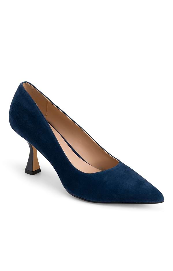 Ladies Lillian Suede Pointy Court Shoe