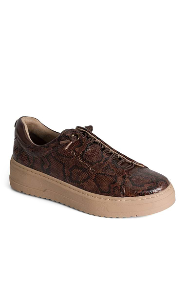 Ladies Marco Tozzi Speed Lace Trainer