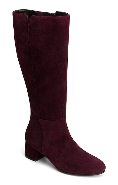 Ladies Gabor Ashby Suede Medium Heel Long Boots