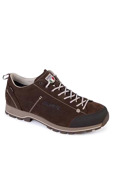 Men's Dolomite 54 Low FG GORE-TEX Boot