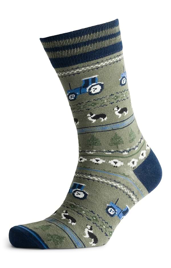 Men's Joules Kingsbury Two Pack Socks