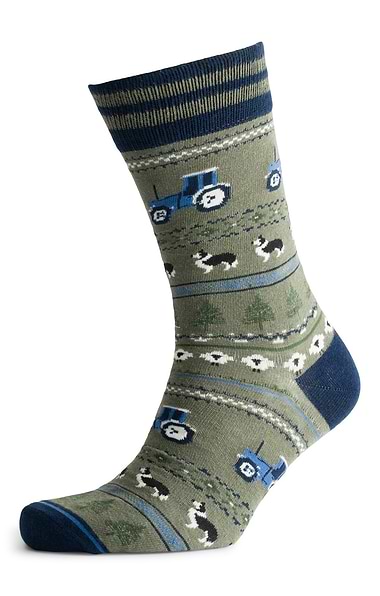 Men's Joules Kingsbury Two Pack Socks