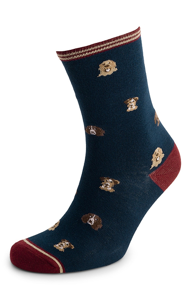 Ladies Joules Two Pack of Everyday Cotton-Rich Socks