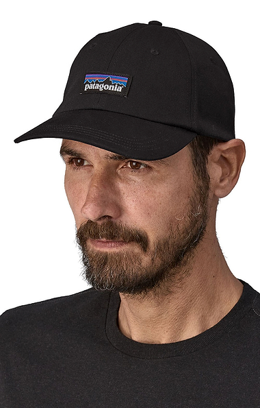 Men's Patagonia Label Trad Cap