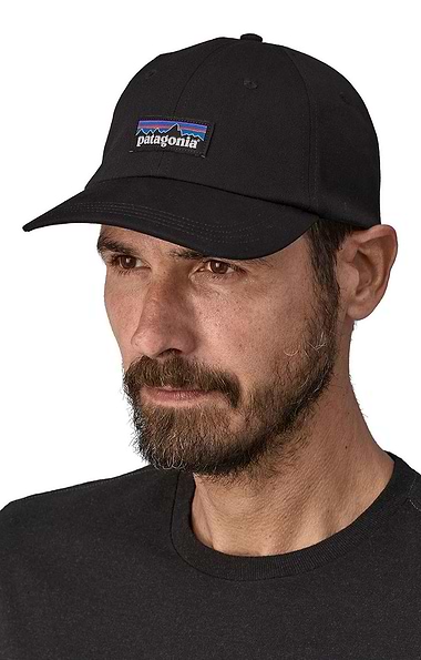 Men's Patagonia Label Trad Cap