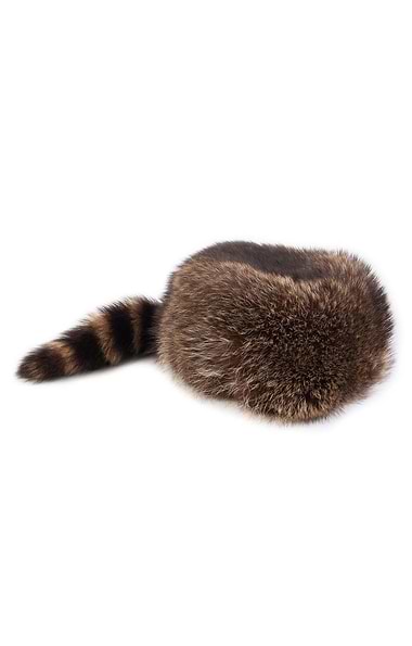 Men's Davy Crockett Hat