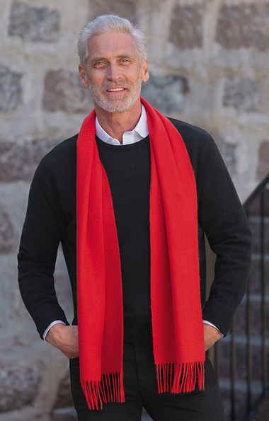 Cashmere Plain Scarf