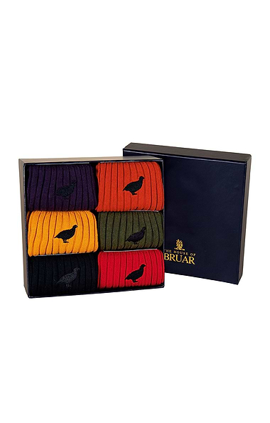 Men's Box of 6 Mercerised Cotton Socks