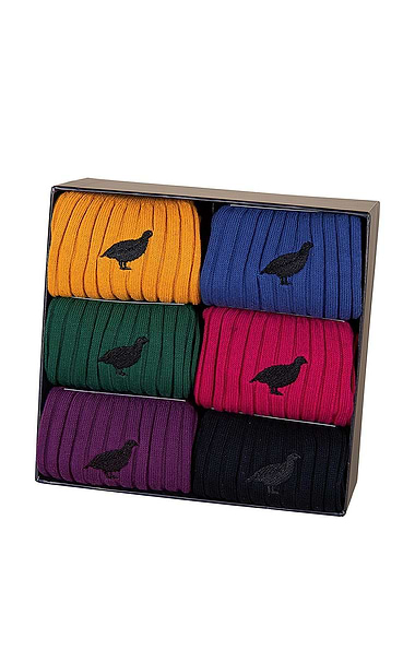 Men's Box of 6 Mercerised Cotton Socks
