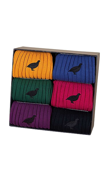 Men's Box of 6 Mercerised Cotton Socks
