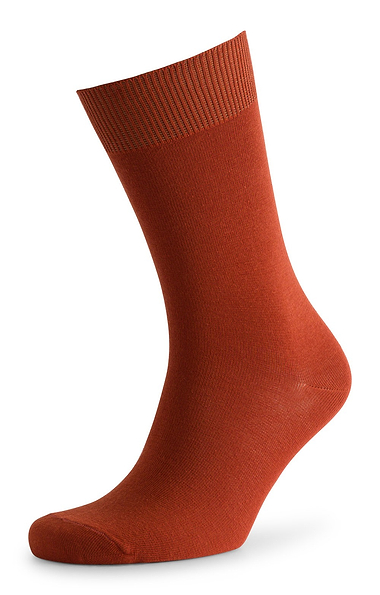 Men's Cotton Rich Socks