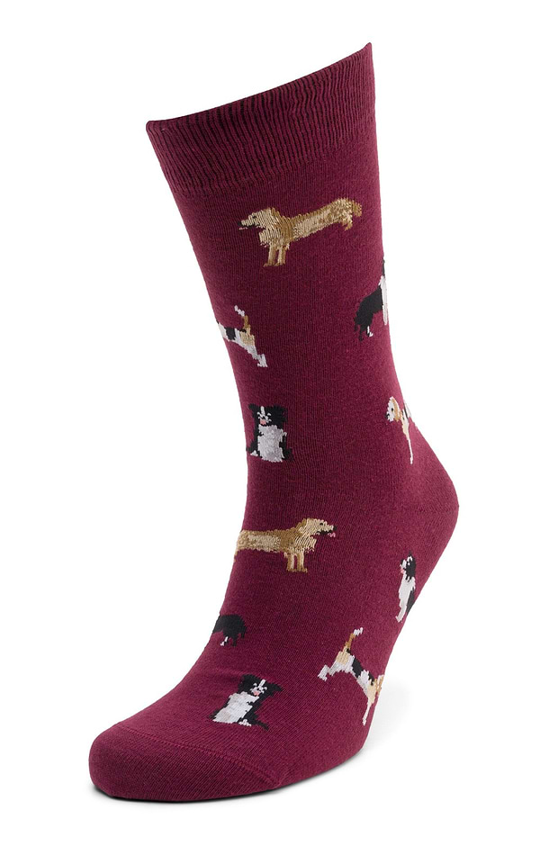 Men's Country Dog Socks