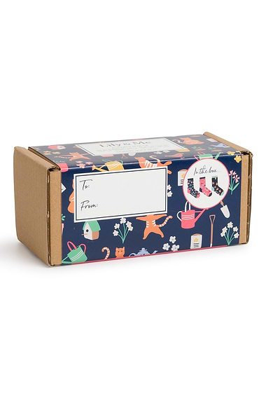 Ladies Lily and Me Multi Sock Gift Box