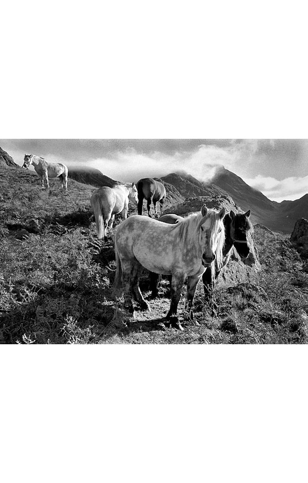Glyn Satterley Mounted Print