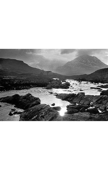Glyn Satterley Mounted Print