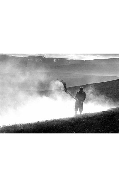Glyn Satterley Mounted Print