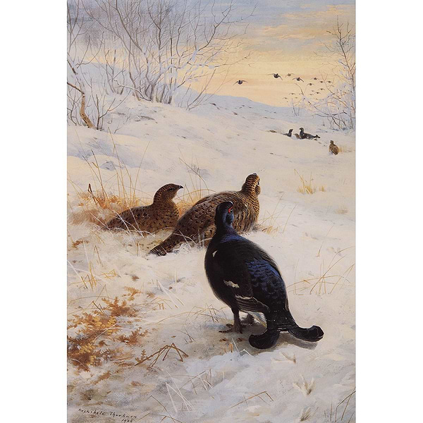 Winter Glen by Archibald Thorburn
