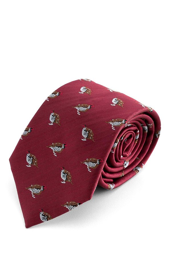 Men's Partridge Woven Silk Tie