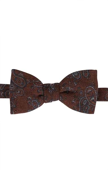 Men's Italian Printed Wool Paisley Bow Tie