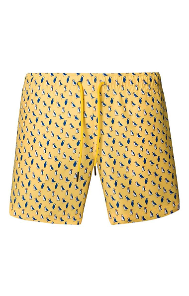 Men's Swim Shorts