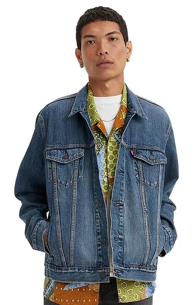 Levi Trucker Jeans Jacket