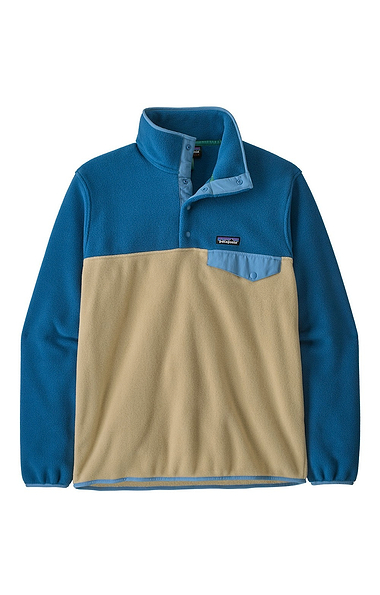 Men's Patagonia Synchilla Snap-T Fleece Pullover