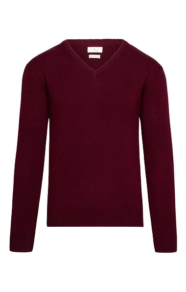 Men's Lambswool V Neck