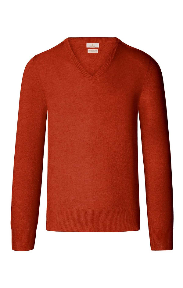 Men's Merino V-Neck Jumper