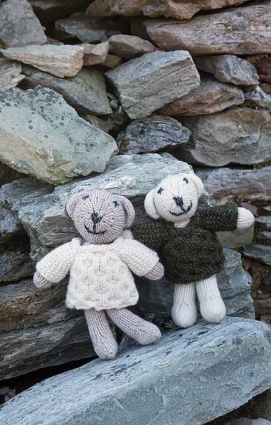 Carraig Donn Baby Bear