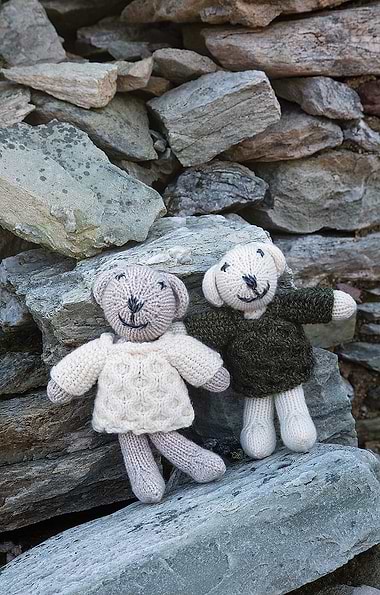 Carraig Donn Baby Bear