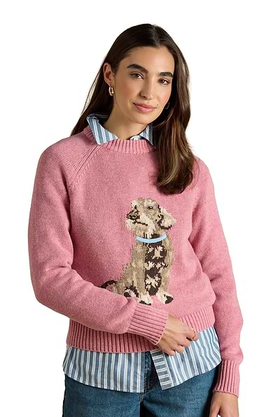 Ladies Joules Dachshund Knit Jumper