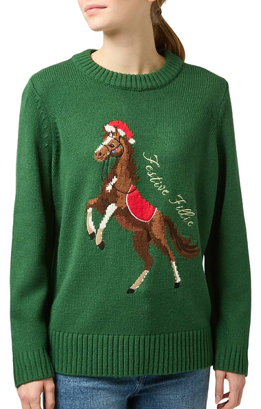 Ladies Joules Noelle Horse Jumper