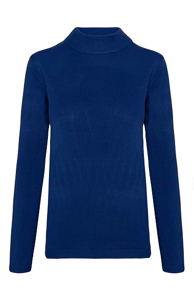 Ladies Knitted Turtle Neck Top