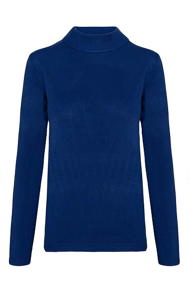 Ladies Knitted Turtle Neck Top
