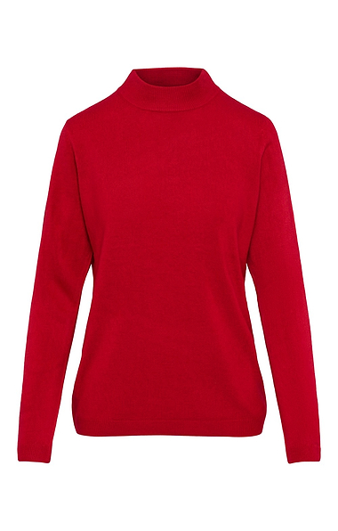Ladies Knitted Turtle Neck Top