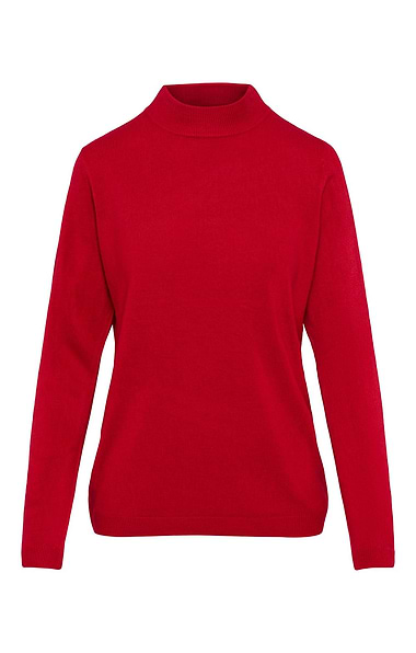 Ladies Knitted Turtle Neck Top