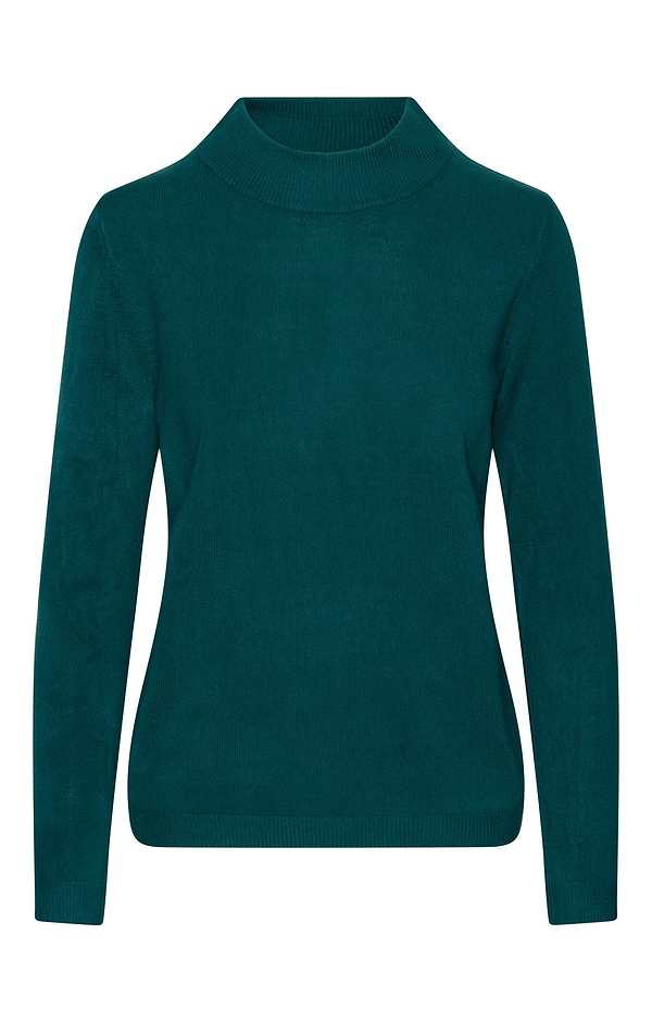 Ladies Knitted Turtle Neck Top